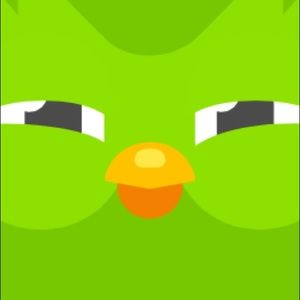 Meet your Posher, Lilly-anne